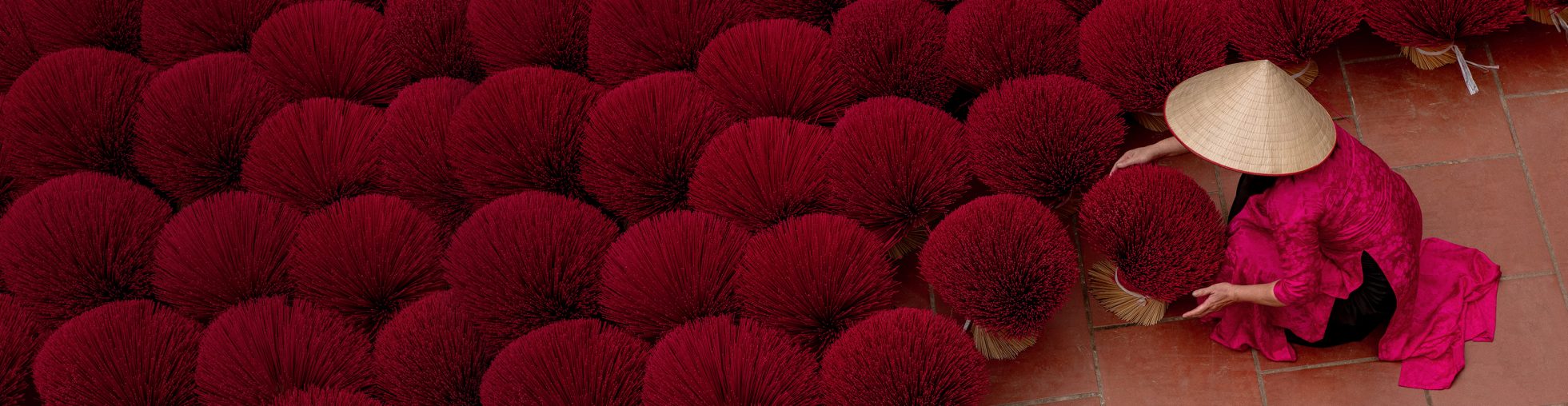 Asian artisan in traditional attire arranging plants on a floor covered with bundles of red bushes.